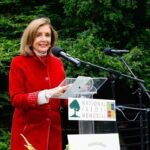 Nancy Pelosi